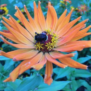 Meet your Posher, Denise